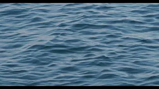 Ocean Waves Close Up 4K