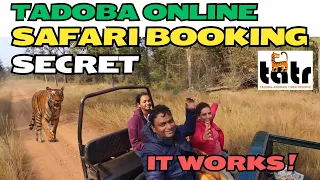 Unlock Tadoba: Online Booking Secrets at Tadoba - Kolara Eco Tourism | Rs 500 Safari Reservation !