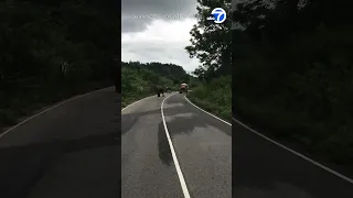 Elephant chases rickshaw in Sri Lanka