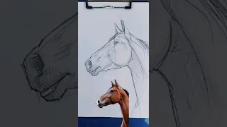 Cómo DIBUJAR un CABALLO Paso a Paso #dibujos #shorts