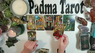 CANCER ♋️ ACCOMPLISHING THE IMPOSSIBLE!What you need to know right now Bonus Tarot Reading ✨️🔮