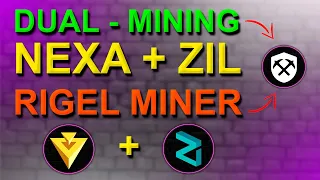 ЭКОНОМНЫЙ МАЙНИНГ NEXA+ZIL | НАСТРОЙКА RIGEL MINER В RAVEOS