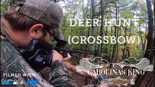 Deer Hunt (Crossbow)