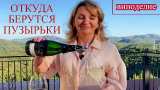 КАВА CAVA Часть 2 ОТКУДА ПУЗЫРЬКИ В ИГРИСТОМ ВИНЕ (В ШАМПАНСКОМ, В КАВЕ)