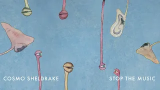 Cosmo Sheldrake - Stop The Music