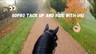 GoPro Tack up and ride with Gee & I!