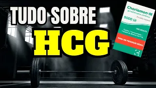 TUDO SOBRE HCG