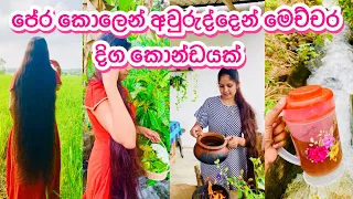 බලාගෙන ඉද්දි සතියෙන් අලුත් හිසකෙස් වැවෙන රහස || තට්ට හිසට විශේෂයි || Pera kola tonic || Hair care