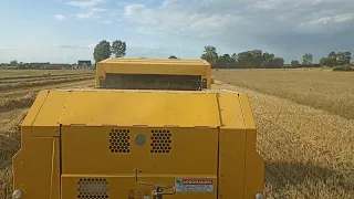 Oporowe prasowanie mieszanki🔥 Zestaw New Holland idealnie daje sobie radę✅ Gr Łopaciński👊