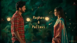 Raghav & Pallavi - Experience