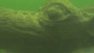 Raw: Ancient Ship Carving Found in Baltic Sea