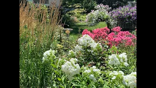 Late July Full Garden Tour