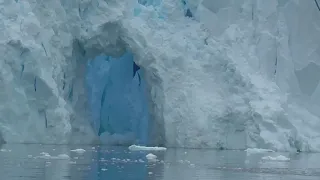 Ocean Adventurer Antarctic Cruise: Happy Leap Year in Paradise Harbor