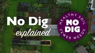 No Dig: feed the soil not the plants for many, easier harvests and few weeds