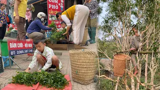 poor boy - harvests wild vegetables to sell, buys medicine for the old lady