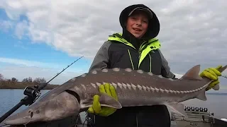 Keeper Sturgeon Fishing The Upper Columbia River! (Bonus WALLEYE!!)
