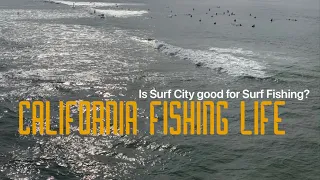 Fishing Experiment: Is Surf Fishing in Huntington Beach Good? Southern California Surf Fishing