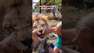 He trained the Lion to be his friend and trusted him