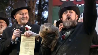 Groundhog Day 2019: Punxsutawney Phil Doesn't See His Shadow, Meaning Early Spring