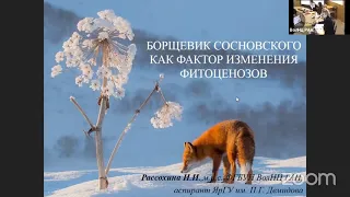 "Борщевик Сосновского как фактор изменения фитоценозов"