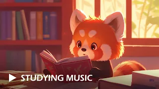 Focus Flow 📒 Lofi Beats for Studying / Working - Lofi Hip Hop -  Little Anbao Panda