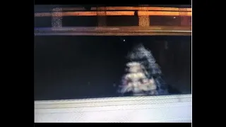 Window Peeking Rocky Mountain Sasquatch Captured on Camera