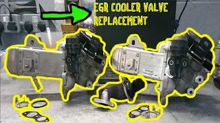 EGR VALVE AND COOLER ON A 2 LITRE DURATORQ DIESEL ENGINE