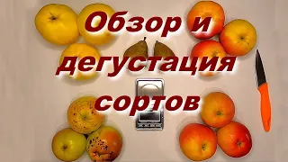 Обзор и дегустация неизвестных сортов / Подскажите если кто узнал!!!