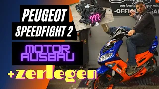 Peugeot Speedfight 2 Motor AUSBAUEN und ZERLEGEN Tutorial ist der MOTORBLOCK noch zu gebrauchen?