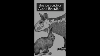 Debunking Evolution Misconceptions