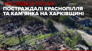 Наслідки війни: постраждалі Краснопілля та Кам'янка – відео з дрона