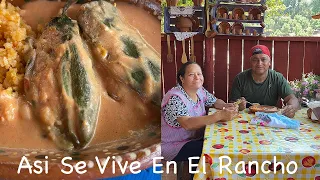 Hoy Se Me Antojo Comer Bien Sabroso - Chiles Rellenos Sin Capear