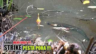 Rawanya surut!!! Beginilah spot mancing yang paling dicari #SG-248