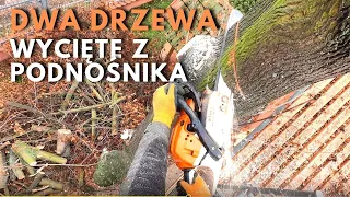 Wycinka dwóch drzew z podnośnika | CELUJEMY DRZEWAMI W PUSZKĘ 😅