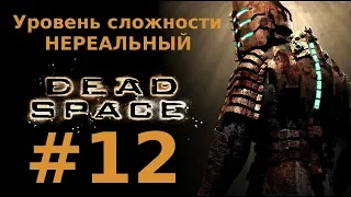 Прохождение Dead Space - Глава 12. Мёртвый космос (НЕРЕАЛЬНЫЙ уровень сложности)