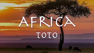 TOTO -  'Africa' 1982 【和訳】トト「アフリカ」