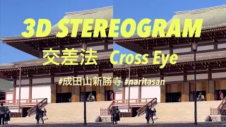 STEREOGRAM (Cross Eye 3D VR) | 交差法☆ステレオグラム | C28 STEREOSCOPIC