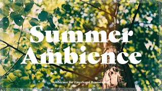 Summer Ambience - Korea Cicadas Sounds | Nature Sound, Peaceful, 매미 소리