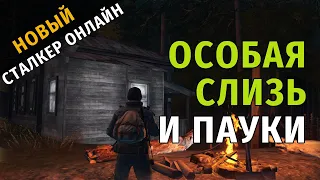 54. Особая слизь и пауки. Новый Сталкер Онлайн, СПБ сервер.