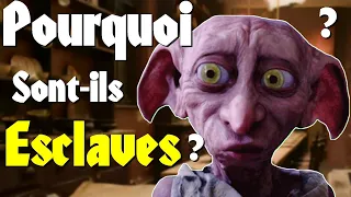 HARRY POTTER - Pourquoi les Elfes sont-ils des Esclaves ?