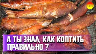 12 советов для горячего копчения. Горячее копчение