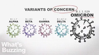 Omicron: Variants Of Concern