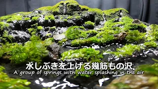 Small waterfall and several springs flowing (Terrarium)