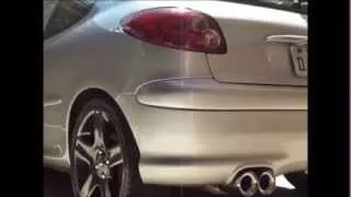 Ronco Peugeot 206 1.6 16v - Abafador + Filtro de ar Esportivo