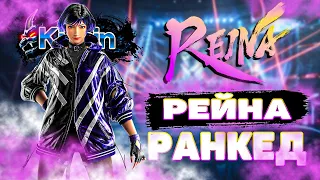 ✅ТЕККЕН 8 РЕЙНА✅ГРИНД РАНГОВ✅TEKKEN 8 | ByShao