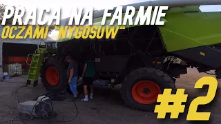 🚜Praca na farmie oczami "Nygusów"🍞#2🐂