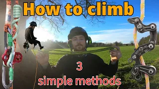 3 easy methods on how to climb a tree | Arborist training for beginners (and pros)