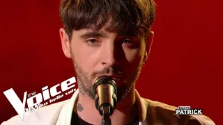 Shawn Mendes - In my Blood | Louis Delort | The Voice All Stars | Cross Battles