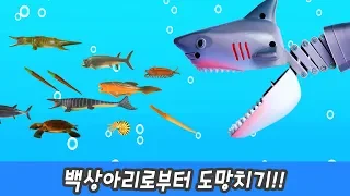 Escape from white great shark, learning animal names, animals animationㅣCoCosToy