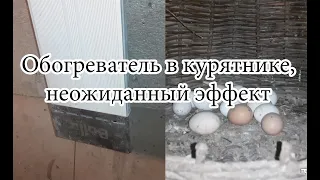 Обогреватель в курятнике